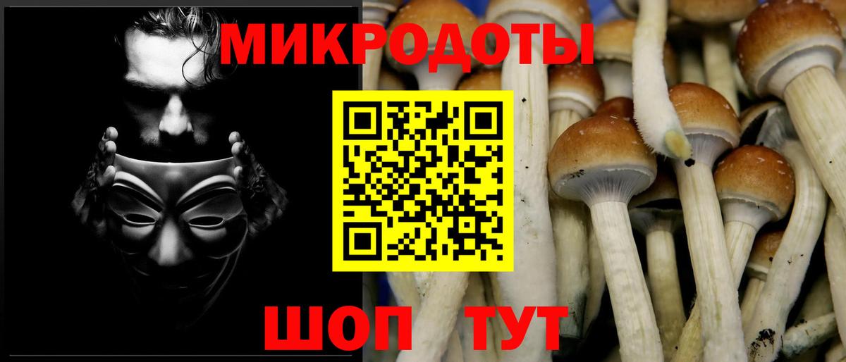 Галлюциногенные грибы прущие грибы  Вход с VPN  Наро-Фоминск 